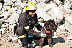 Search and Rescue Dog Positioning System Wins 2009 European Satellite Navigation Grand Prize